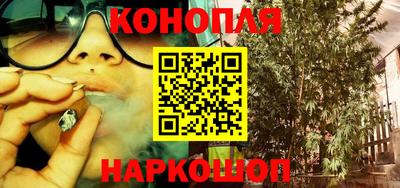 гидропоника Гусев