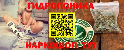 твердый Гай