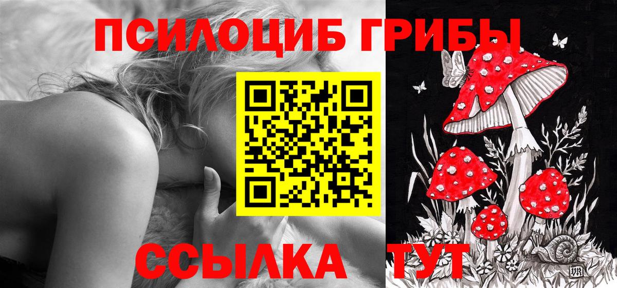 Псилоцибиновые грибы GOLDEN TEACHER Минеральные Воды